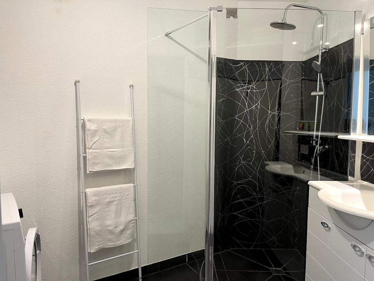 Bel Appartement Climatise Centre Albi Dış mekan fotoğraf